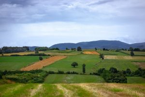 Farm Land Bangalore